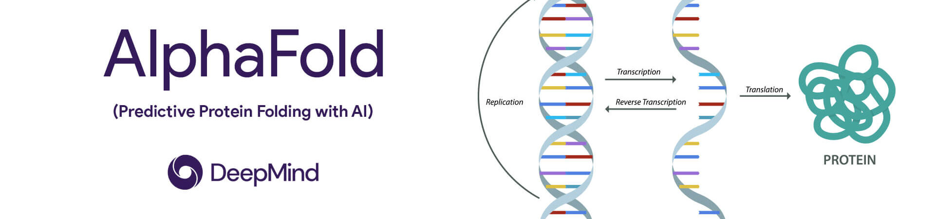 Google's DeepMind AlphaFold Predictive Protein Folding AI