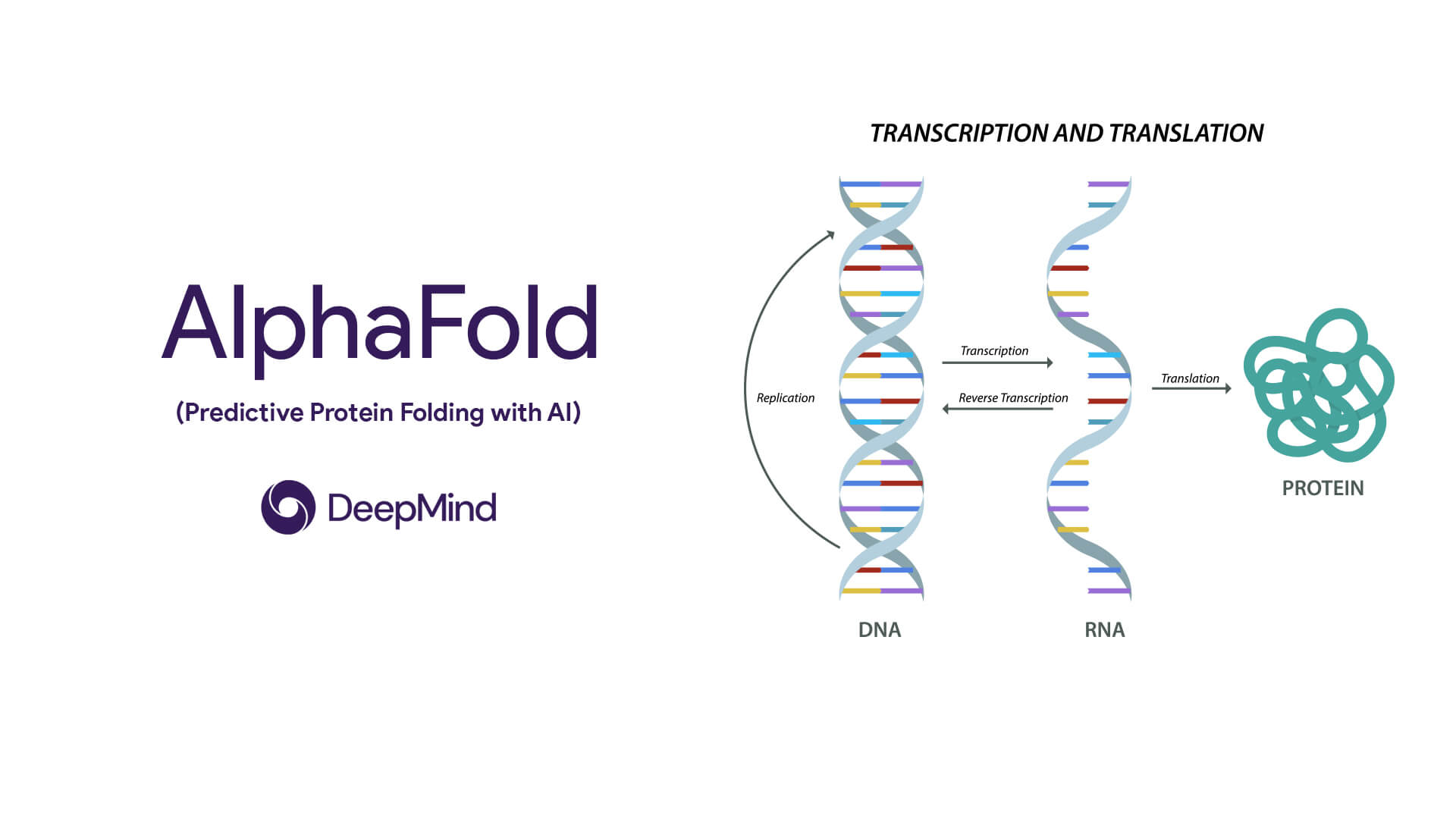 Google's DeepMind AlphaFold Predictive Protein Folding AI